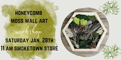 Honeycomb Moss Wall Art Workshop (Smoketown)