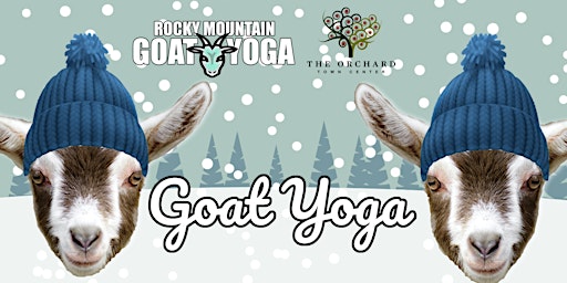 Baby Goat Yoga - February 4th (Orchard Town Center)