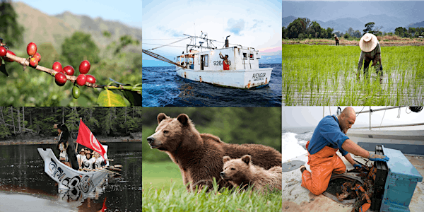 Financing a Sustainable Future