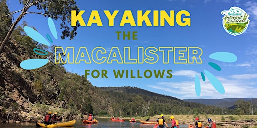 Willow Mapping on the Macalister River