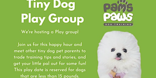 Tiny Dog Play Group