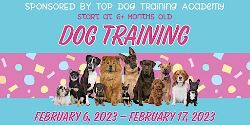 TOP DOG 10 DAY TRAINING PROGRAM
