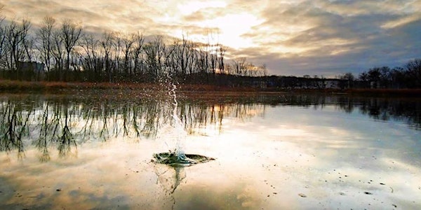 Four Mile Run Park Streambank Clean-Up