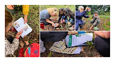 Tiny Forests in Action:  Monitoring season 21/22 Research Wrap up