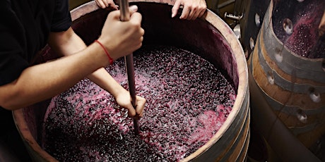 VINcabulary : Winemaking 101 - Tasting how wines are made