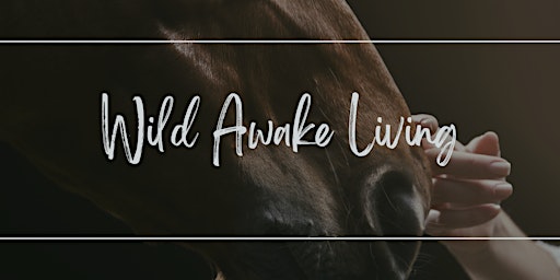 Wild Awake - Living: Nourish