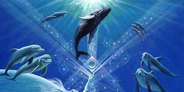The Multidimensional Consciousness of Whales and Dolphins