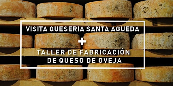 Visita de una quesería artesanal de queso de oveja + taller de fabricación + almuerzo.