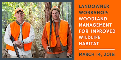 Woodland Management for Improved Wildlife Habitat primary image