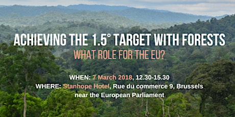 Achieving the 1.5° Target with Forests - What Role for the EU?