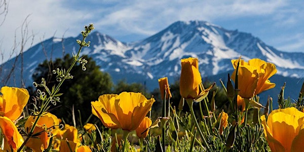 The Spirit of Mt. Shasta Region | Building Resilience Workshop