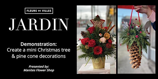 Imagem principal de Demo: Mini Christmas Tree + Pine Cone Decorations