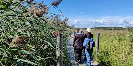 Primaire afbeelding van Luontokoti: Luonto tutuksi -koulutus | Discovering Nature -training