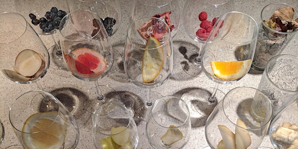 The Power of Smell: A Visual Sensory Course of Scents in Wine 101