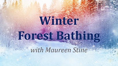 Winter Forest Bathing