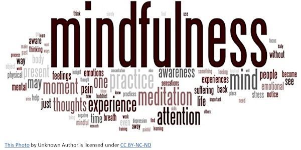 Tuesday Tune-Ups: Adventures in Mid-Week Mindfulness