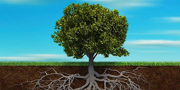 Scaling Up Purposefully