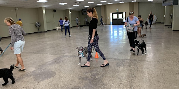 Eagle Valley Humane Society Adopted Dog Training and Behavior Class