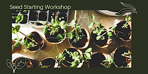 Seed Starting Workshop