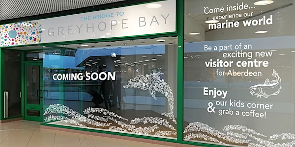 GREYHOPE BAY POP UP SHOP Opening Reception