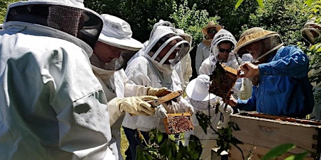Bee School  2023 -- Beekeeping 101