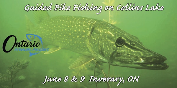 Guided Pike Fishing Trip 2018