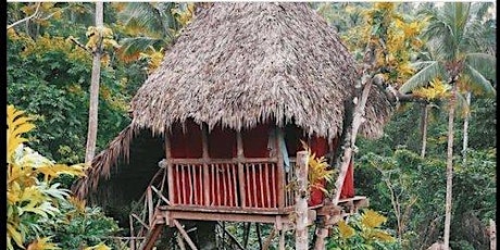 Dominican Tree House Adventure Retreat