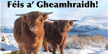 Féis a' Gheamhraidh 2023 / 4th Annual Winter Féis 2023