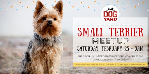 Small Terrier Meetup at Dog Yard Bar in Ballard - Saturday, February 25