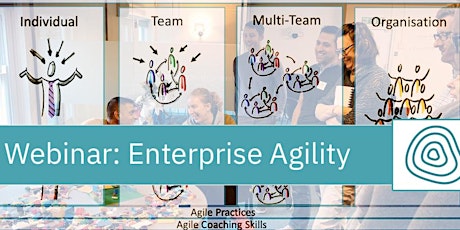 Primaire afbeelding van Webinar: Enterprise Agile Coaching with Lean Change Management