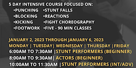 FILM FIGHTING INTENSIVE WORKSHOP - JANUARY 2023 primary image