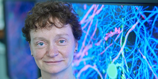 Mending myelin: orchestrating brain repair in MS
