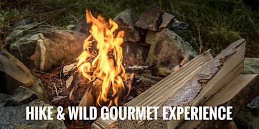 Hike & Wild Gourmet NI Experience