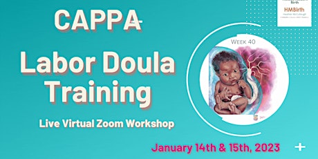 Birth Doula Training - CAPPA 2-Day Workshop via Zoom primary image