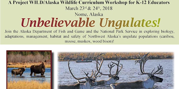Unbeilevable Ungulates! (All about caribou, moose, muskox and wood bison!)