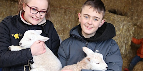 Lambing & Animals Weekend at Moreton Morrell College