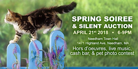 Spring Soiree & Silent Auction: A fundraiser to support homeless cats primary image
