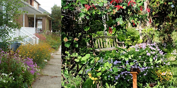 Native Plant Maintenance for the Homeowner
