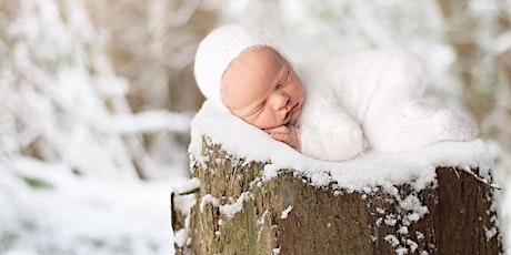 Shaken Baby Syndrome/AHT Prevention & Safe Sleep for VT Professionals
