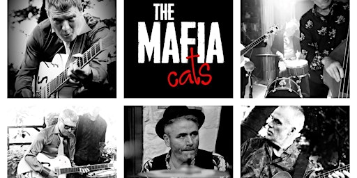 The Mafia Cats