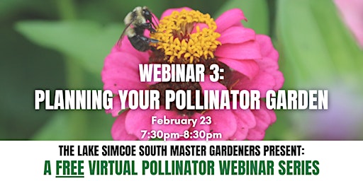 Planning your Pollinator Garden