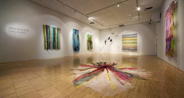 From Portfolio Review to Branding with Cathy Breslaw (Textile/Installation Artist)