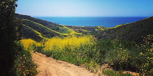 Out & About" Crystal Cove Moro Canyon