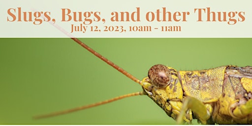Immagine principale di Landscape Matters: Slugs, Bugs, and other Garden Thugs 