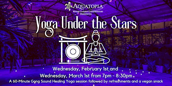 Yoga Under The Stars - Gong Sound Healing Yoga