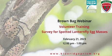Brown Bag Webinar: Spotted Lanternfly Egg Mass Survey Training
