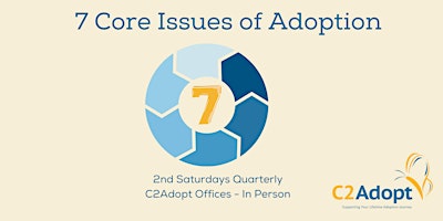 7 Core  Issues of Adoption primary image