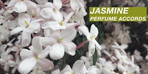 Jasmine: Perfume  Accords, with Ashley Eden Kessler (online)