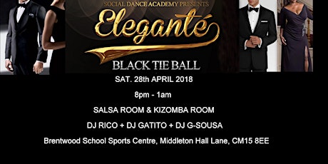 ELEGANTE - BLACK TIE BALL primary image