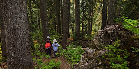 Primaire afbeelding van Deep Time Walk  - Family